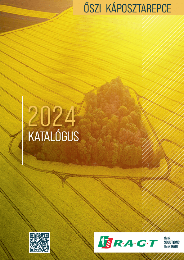 Őszi káposztarepce 2024