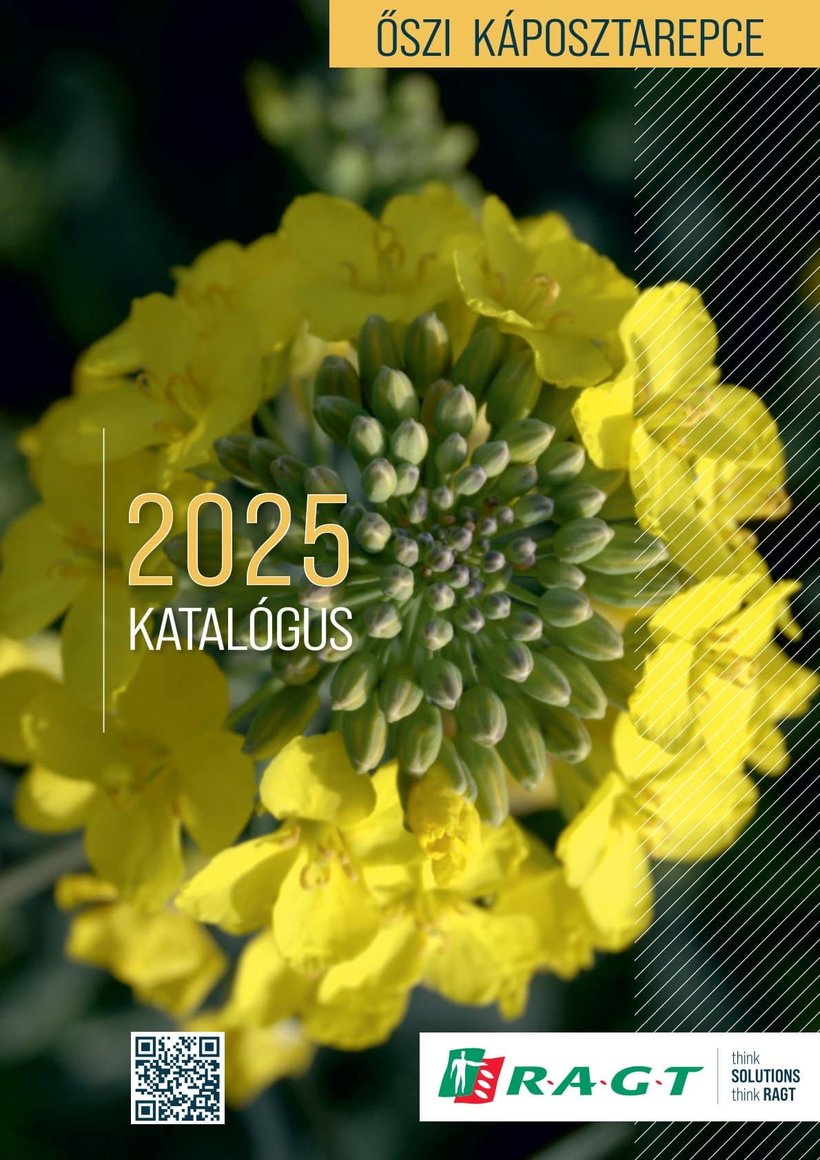 Őszi káposztarepce katalógus 2025